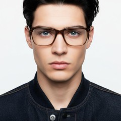 bs2012-0579_brown_rectangular_acetate_glasses_model