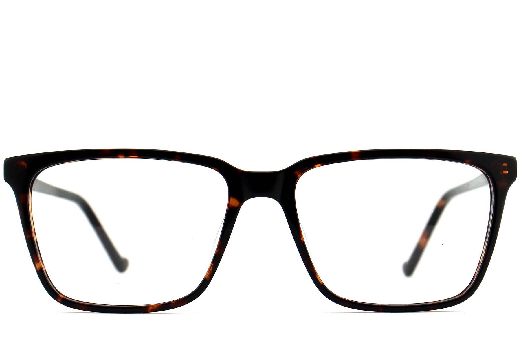BS2012-0580_Tortoiseshell_Rectangular_Acetate_Glasses_front