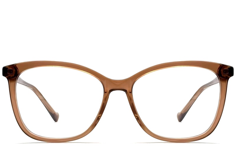 BS2012-0679_Brown_Butterfly_Acetate_Glasses-front
