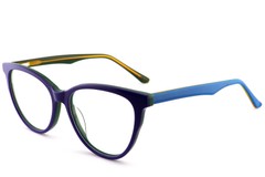 BS2012-0699_Blue_Butterfly_Acetate_Glasses_corner