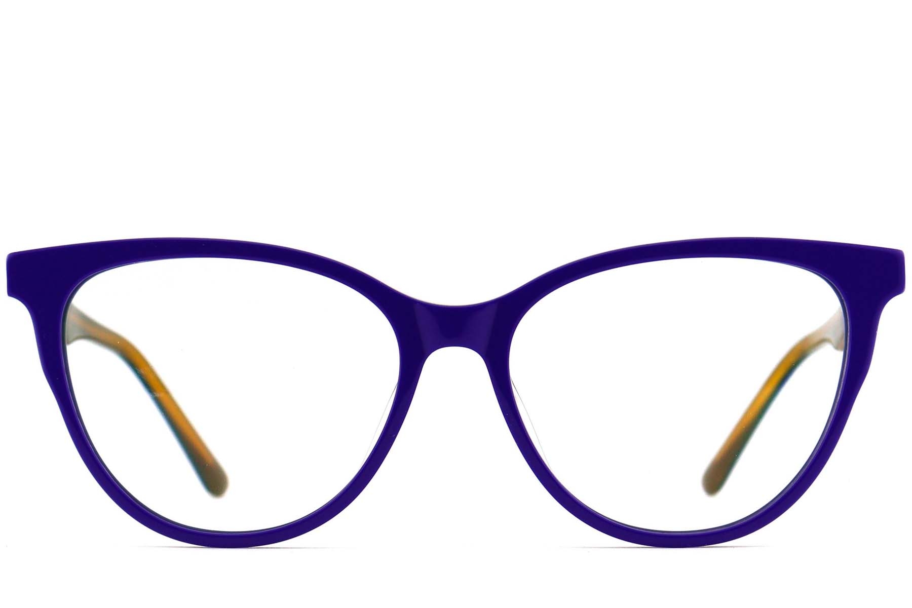 BS2012-0699_Blue_Butterfly_Acetate_Glasses_front