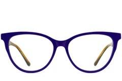 BS2012-0699_Blue_Butterfly_Acetate_Glasses_front