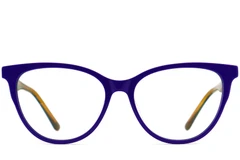 BS2012-0699_Blue_Butterfly_Acetate_Glasses_front