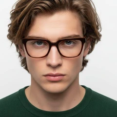bs2012-0759_brown_rectangular_acetate_glasses_model