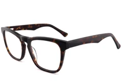BS2012-0766_Tortoiseshell_Butterfly_Acetate_Glasses_corner