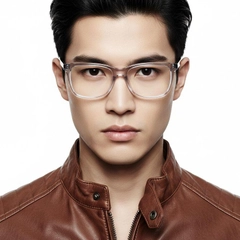 bs2012-0780_transparent_rectangular_acetate_glasses_model