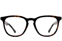 BS2012-0806_Tortoiseshell_Rectangular_Acetate_Glasses_front