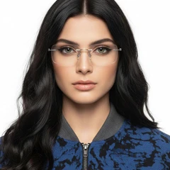 bs2012-0841_silver_invisible_metal_glasses_model