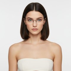 bs2012-0843_brown_invisible_metal_glasses_model