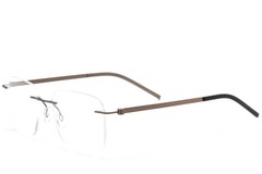 BS2012-0861_Brown_Invisible_Metal_Glasses_corner