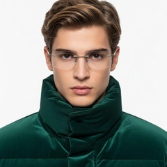 bs2012-0865_silver_invisible_metal_glasses_model