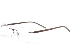 BS2012-0867_Brown_Invisible_Metal_Glasses_corner