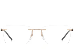 BS2012-0870_Golden_Invisible_Metal_Glasses_front