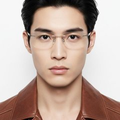 bs2012-0871_silver_invisible_metal_glasses_model