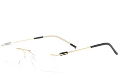 BS2012-0888_Golden_Invisible_Metal_Glasses_corner