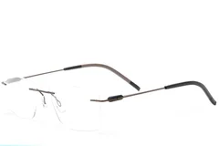 BS2012-0891_Brown_Invisible_Metal_Glasses_corner