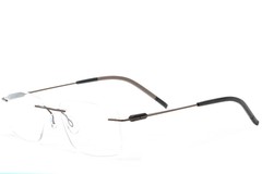BS2012-0891_Brown_Invisible_Metal_Glasses_corner