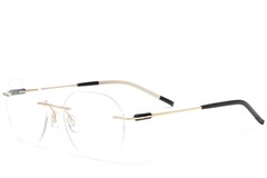BS2012-0894_Golden_Invisible_Metal_Glasses_corner
