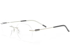 BS2012-0895_Silver_Invisible_Metal_Glasses_corner