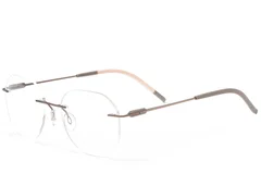 BS2012-0897_Brown_Invisible_Metal_Glasses_corner