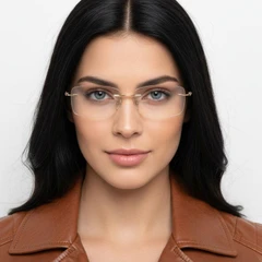 bs2012-0906_golden_invisible_metal_glasses_model