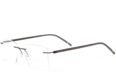 BS2012-0908_Grey_Invisible_Metal_Glasses_corner