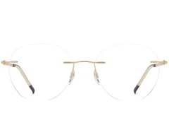 BS2012-0928_Golden_Invisible_Metal_Glasses_front