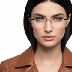 bs2012-0938_silver_invisible_metal_glasses_model