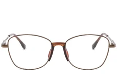 BS2012-0964_Brown_Butterfly_Metal_Glasses_corner-front