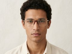 BS2012-0978_Golden_Butterfly_Metal_Glasses-tryon_male