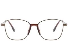 BS2012-0982_Brown_Butterfly_Metal_Glasses_corner-front
