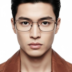 bs2012-0999_brown_rectangular_metal_glasses_model