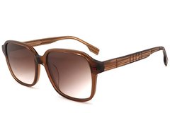 BS2012-1188_Brown_Rectangular_Acetate_sunglasses_corner