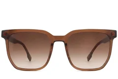 BS2012-1193_Brown_Rectangular_Acetate_sunglasses-front