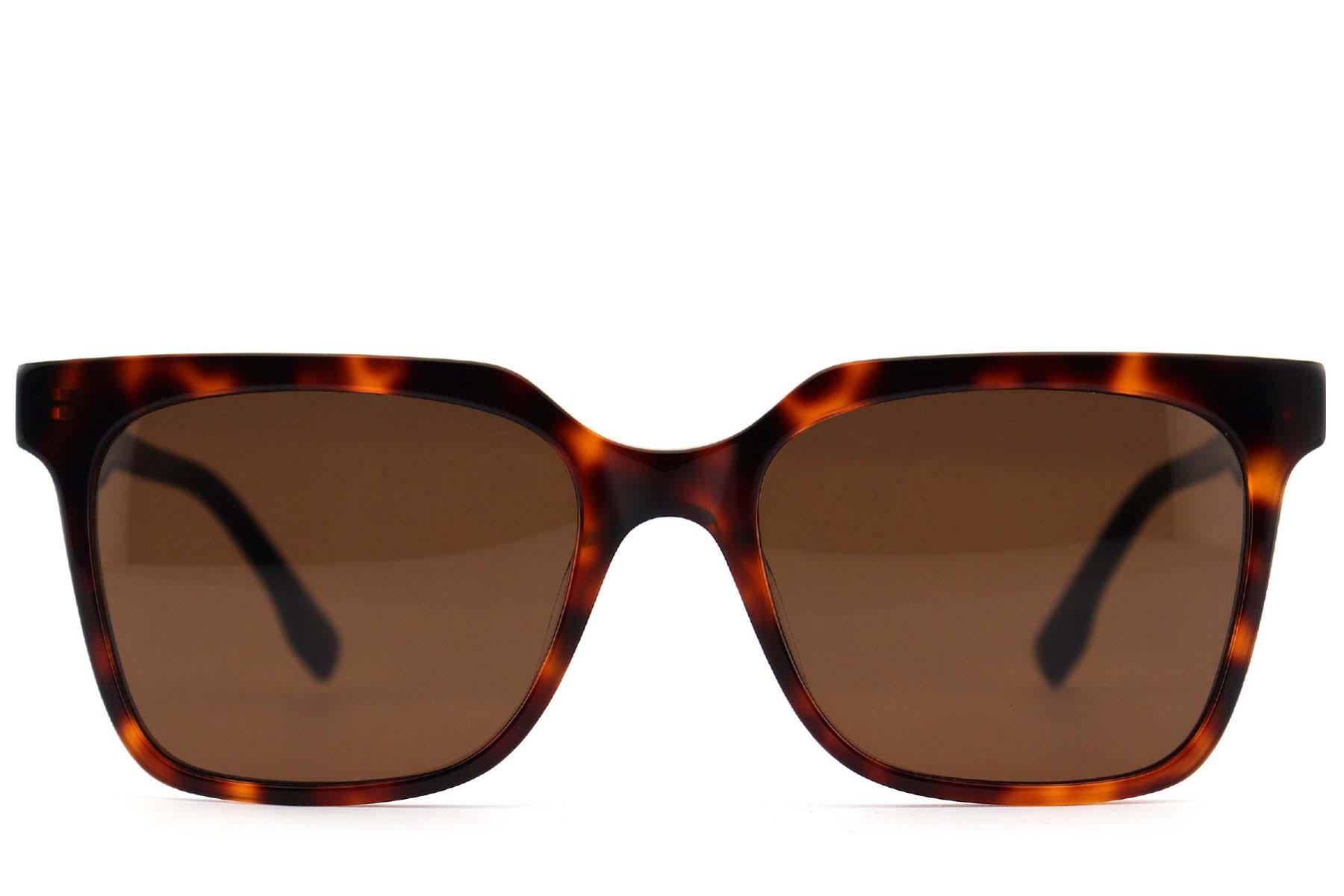 BS2012-1237_Tortoiseshell_Rectangular_Acetate_sunglasses_front