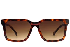 BS2012-1300_Tortoiseshell_Rectangular_Acetate_sunglasses_front