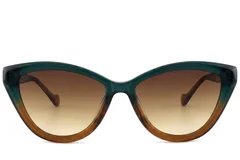 BS2012-1308_Brown_Butterfly_Acetate_sunglasses-front