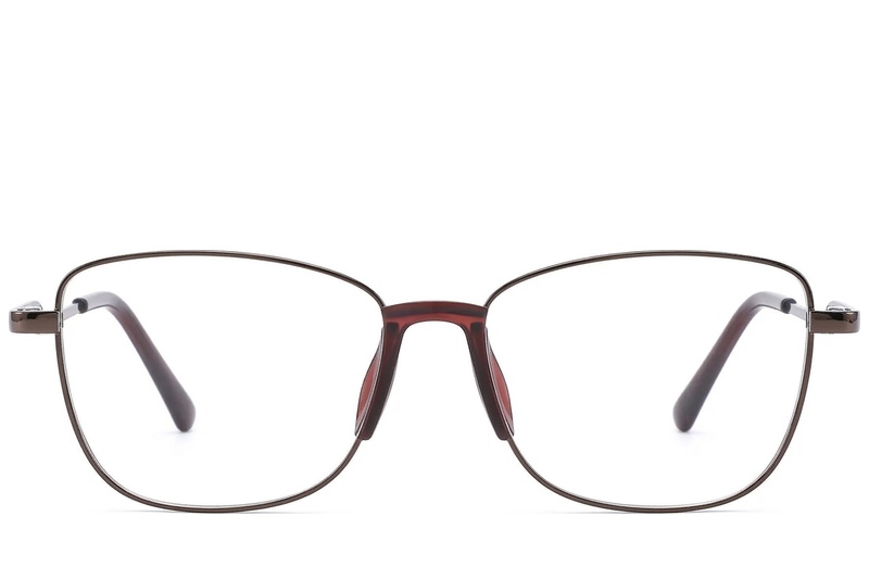 BS2012-1489_Brown_Butterfly_Metal_Glasses_front