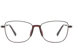 BS2012-1489_Brown_Butterfly_Metal_Glasses_front