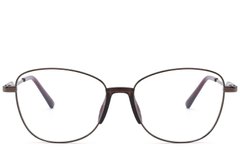 BS2012-1495_Brown_Butterfly_Metal_Glasses_front