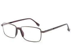 BS2012-1638_Brown_Rectangular_Metal_Glasses_corner