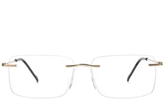 BS2012-1675_Golden_Invisible_Titanium_Glasses_front