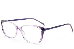 BS2012-1723_Purple_Butterfly_Titanium_Glasses_corner