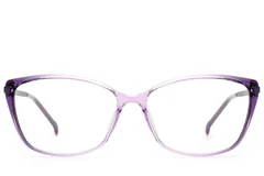 BS2012-1723_Purple_Butterfly_Titanium_Glasses_front