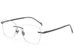 BS2012-1761_Grey_Invisible_Titanium_Glasses_corner
