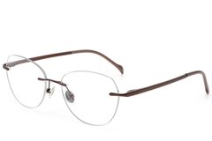 BS2012-1765_Brown_Invisible_Titanium_Glasses_corner