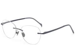 BS2012-1766_Grey_Invisible_Titanium_Glasses_corner