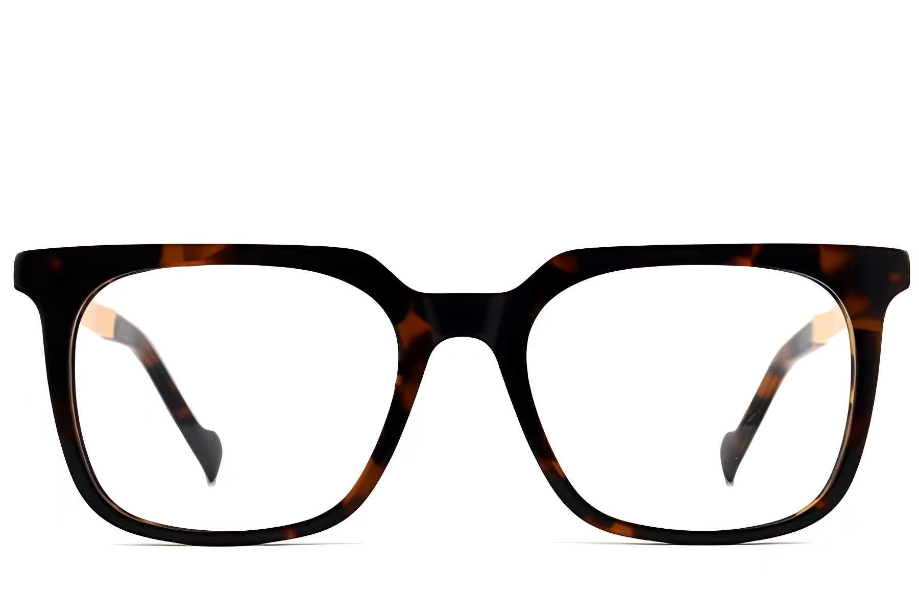 BS2012-2110_Tortoiseshell_Rectangular_Acetate_Glasses_front
