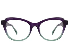 BS2012-2135_Purple_Butterfly_Acetate_Glasses_corner-front