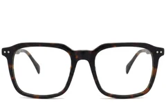 BS2012-2158_Tortoiseshell_Rectangular_Acetate_Glasses_corner-front